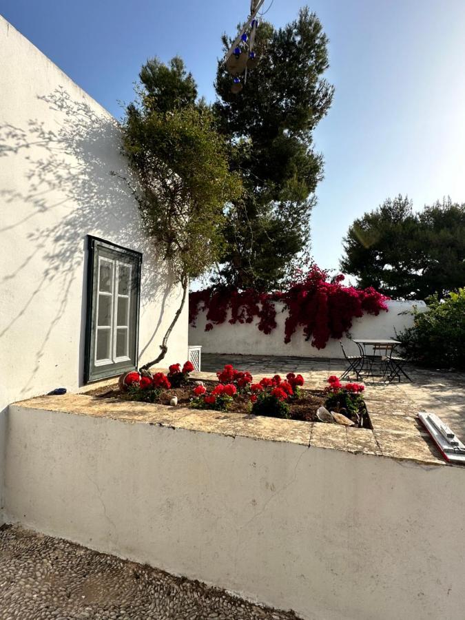 Two Olive Trees Guest House Spetses Town Ngoại thất bức ảnh